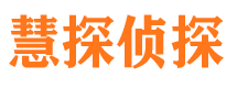 港北市侦探公司